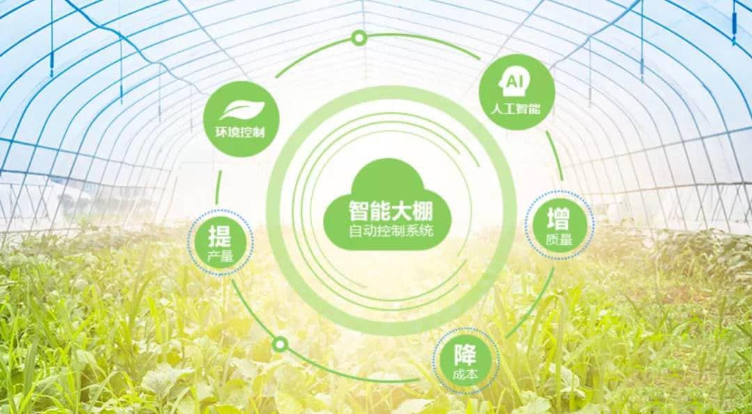 智能溫室大棚