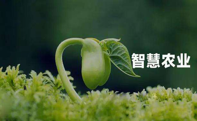 智慧農(nóng)業(yè)