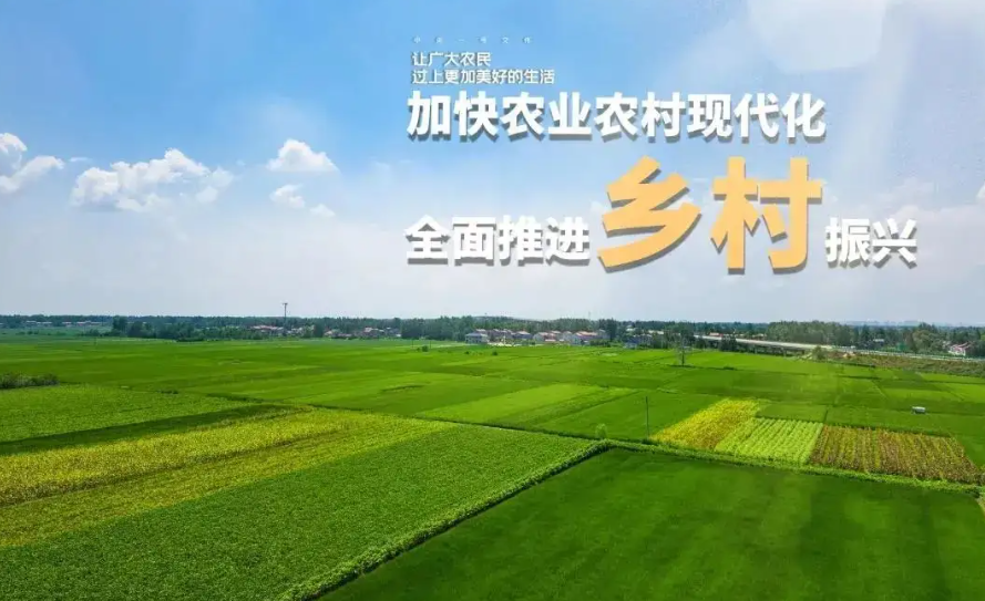 推進鄉村振興 激發“三農”活力