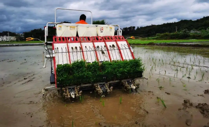 水稻種植機械化