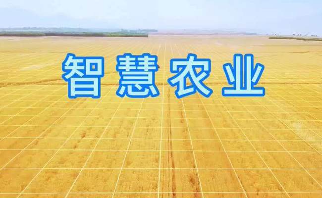 智慧農業