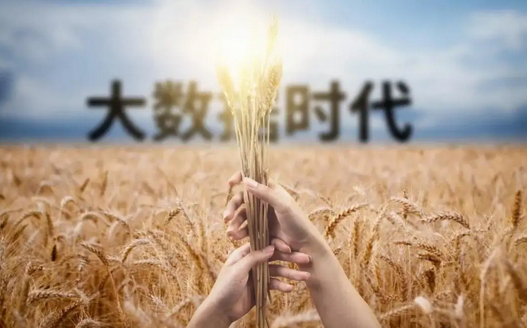 “精準(zhǔn)農(nóng)業(yè)”帶動(dòng)平陽鎮(zhèn)農(nóng)民致富