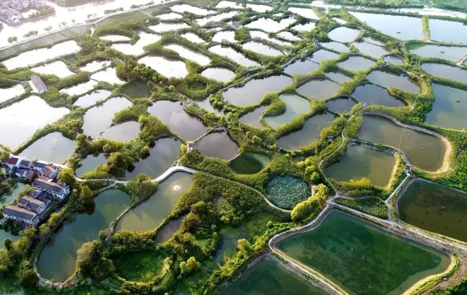 河北首次承擔國家漁業綠色循環發展試點項目