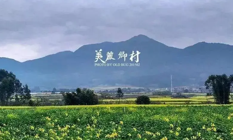 重慶建設清風鄉(xiāng)村 深化基層治理