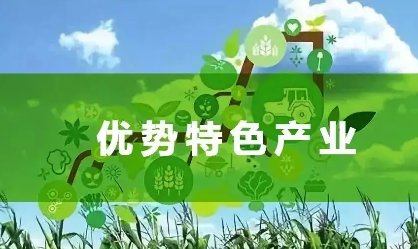 加快蔬菜產(chǎn)業(yè)集群發(fā)展 廊坊打造“兩帶一圈”特色優(yōu)勢(shì)產(chǎn)業(yè)