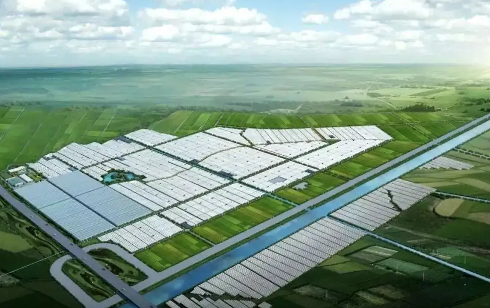 甘肅科研團隊推廣納米高效農(nóng)業(yè)：增產(chǎn)效果普遍達二成以上