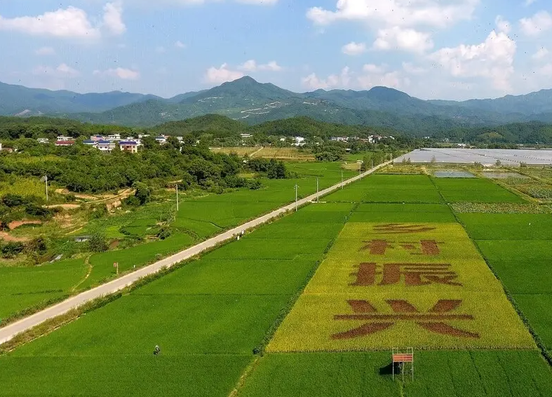 壯大特色產(chǎn)業(yè) 推進(jìn)鄉(xiāng)村振興 加快構(gòu)建城鄉(xiāng)融合發(fā)展新格局