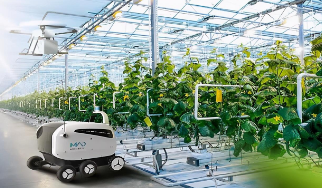 需要不斷提高社會各方面的技術標準來規范和促進物聯網產品的規?；藴驶a和應用