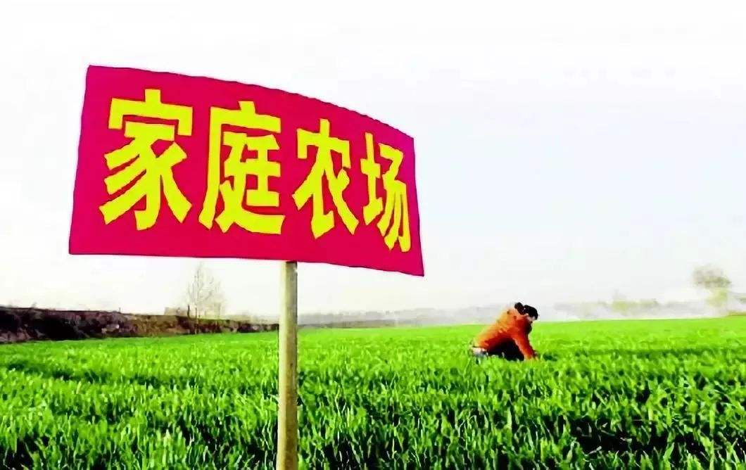 天津：2025年市級示范家庭農(nóng)場穩(wěn)定在300家