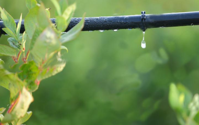 通過節水灌溉提高水資源利用效率勢在必行