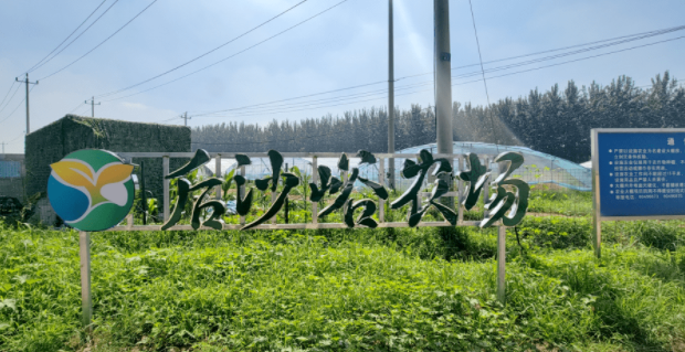 后沙峪農場