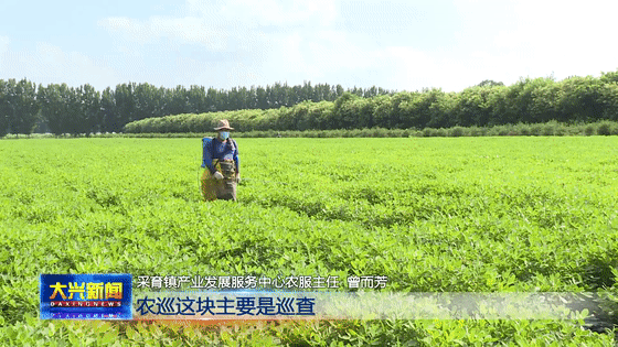 采育鎮相關負責人相關采訪