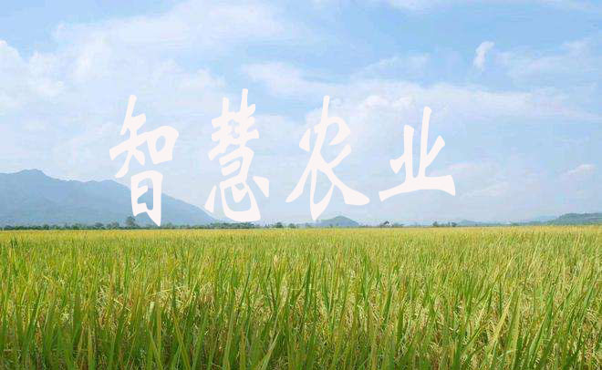 從會(huì)種地到“慧”種地