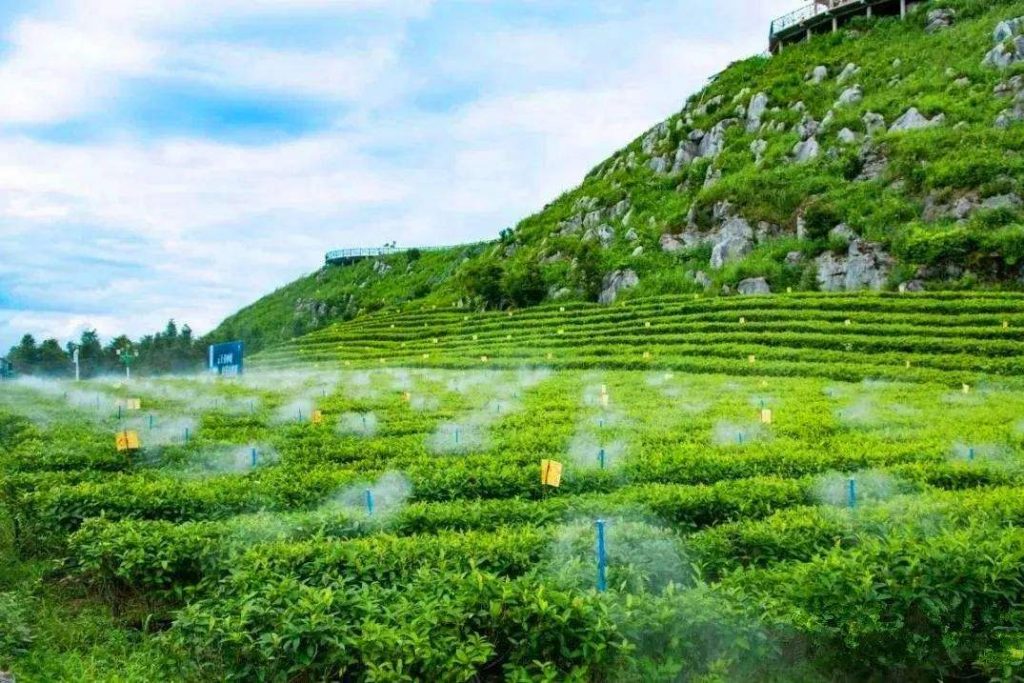 盤點：水肥一體化應(yīng)用誤區(qū)