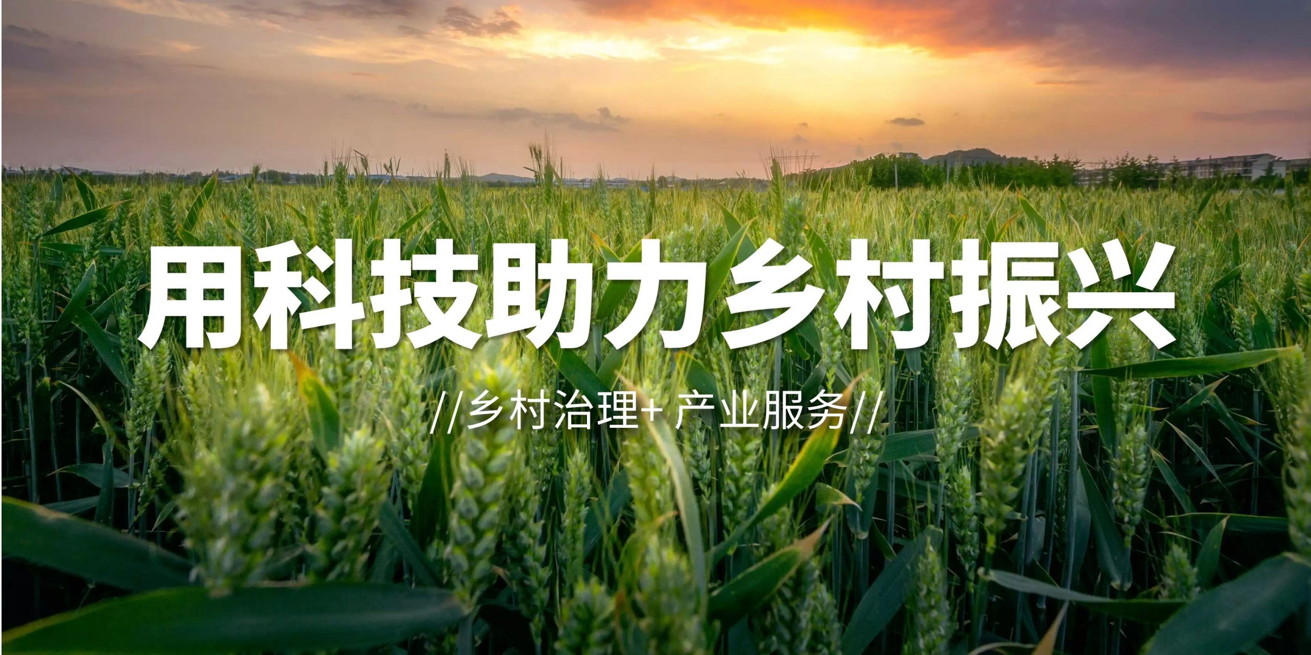 嘉善縣高標準農田建設賦能農業現代化發展