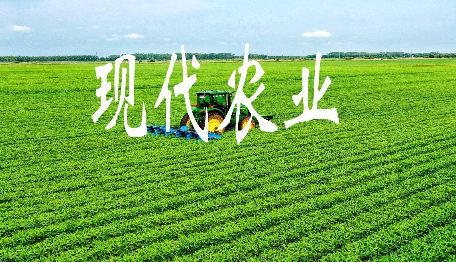免耕播種 深松追肥 高效植保 長春市農業機械化助推現代農業高歌猛進
