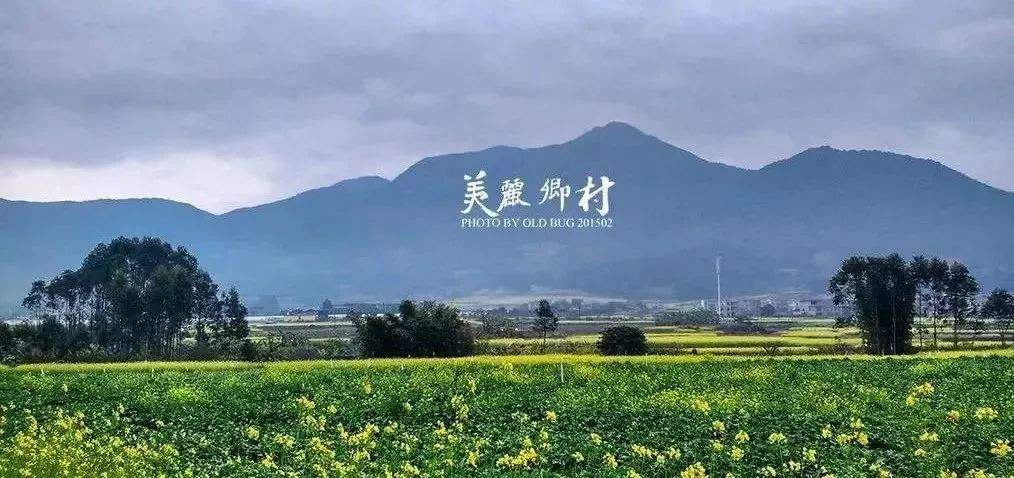 重慶鄉村產業振興“頭雁”項目啟動
