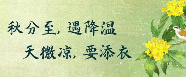 天氣轉冷，低溫冷害水稻種植