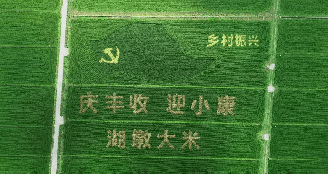 打造高標準農田建設示范樣板區