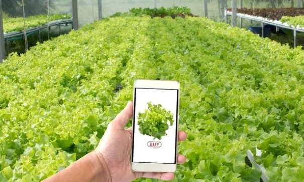 物聯網技術與傳感器技術相結合，實現可視化遠程診斷、遠程控制