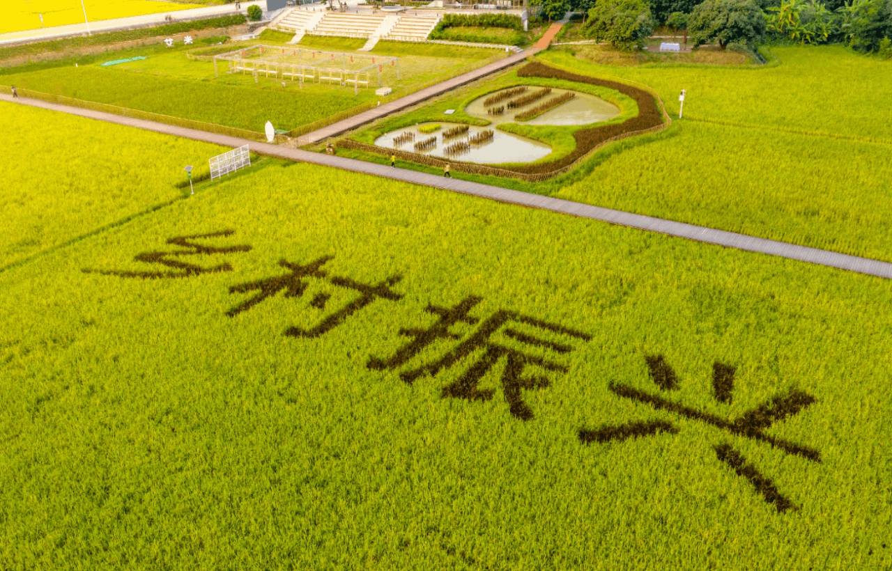 農(nóng)業(yè)農(nóng)村現(xiàn)代化，為農(nóng)業(yè)高質量可持續(xù)發(fā)展提供新動能