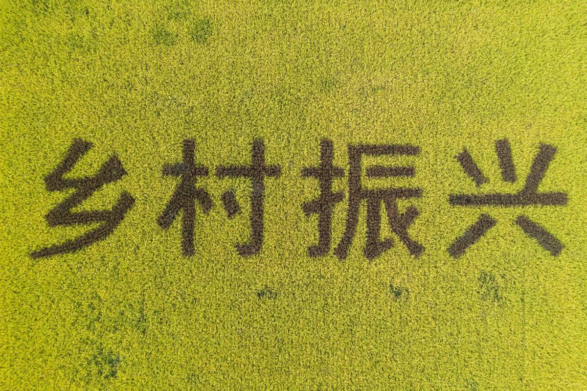 打造美麗鄉村 提升富民產業 村莊規劃助推鄉村振興