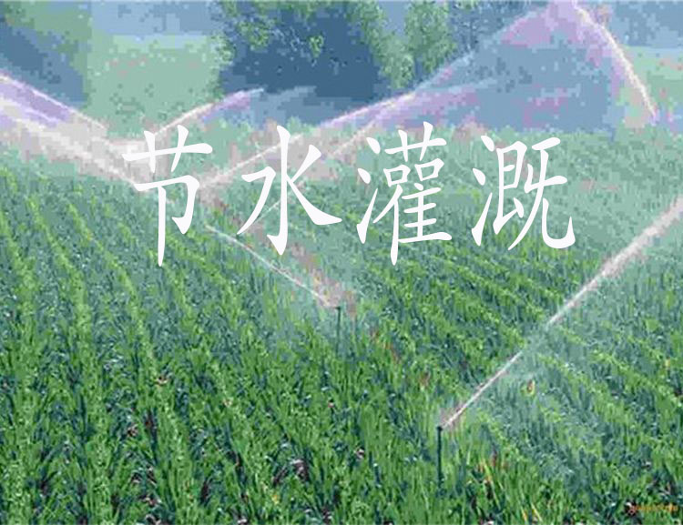 哪些灌溉方式能節(jié)水