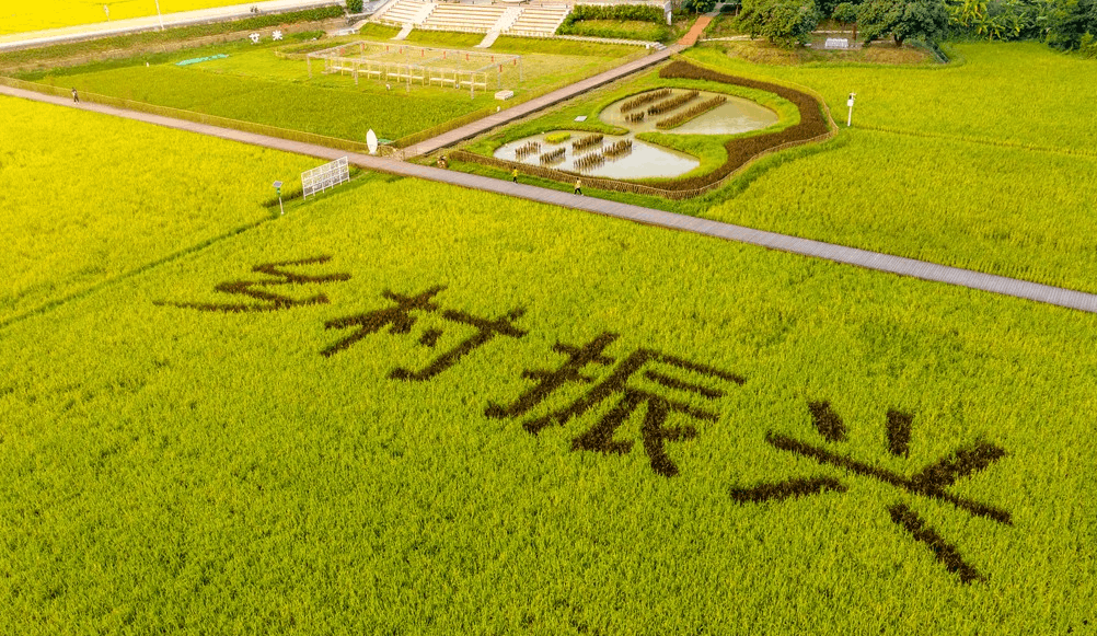 智慧農業就是將物聯網技術運用到傳統農業中去