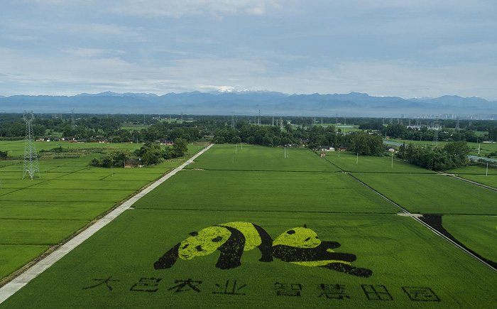 數字農業平臺