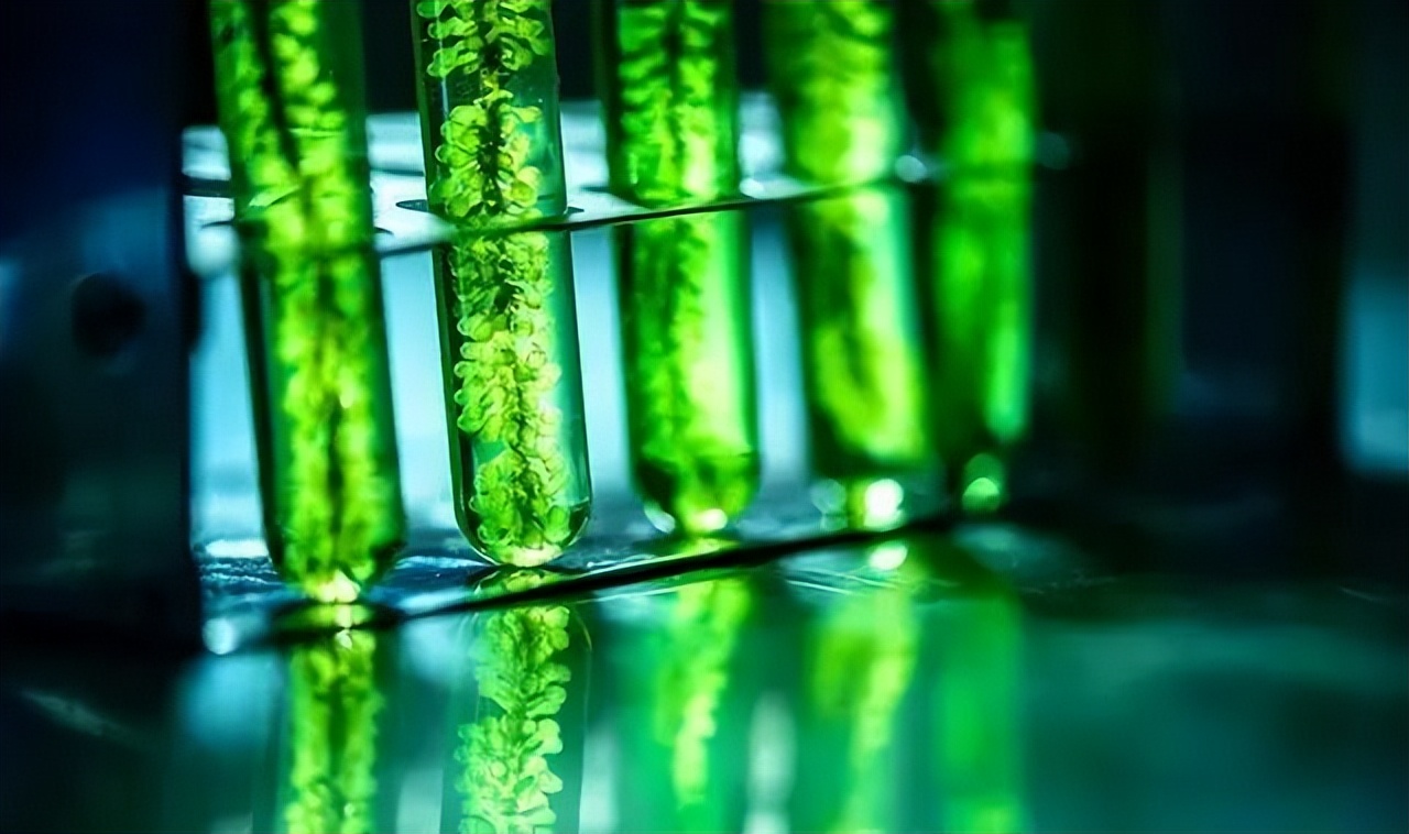 合成生物學