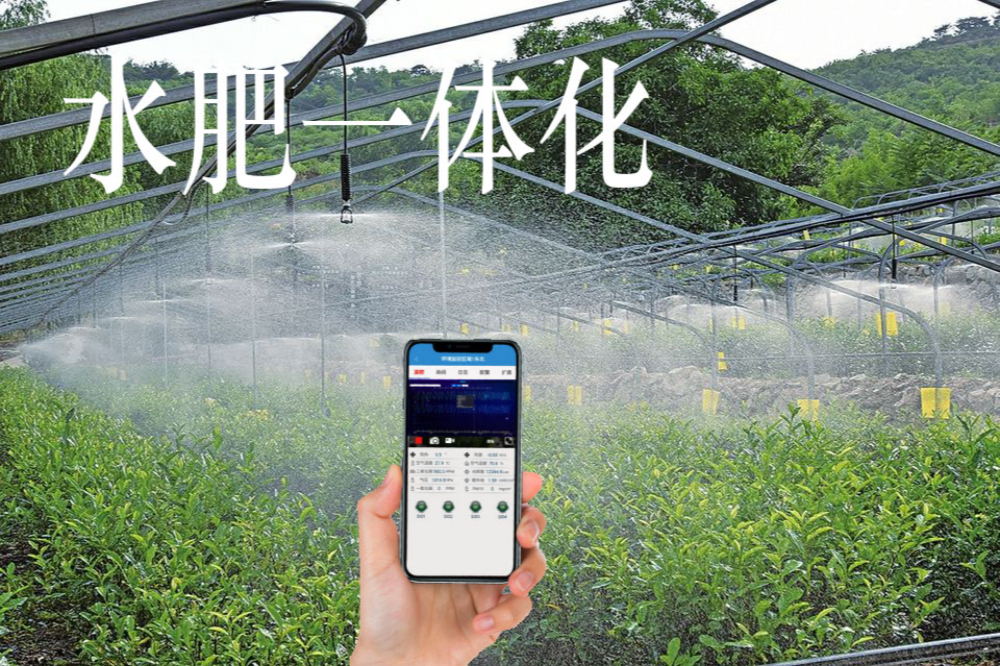 水肥一體化應用什么用