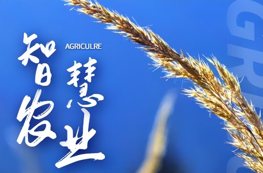 智慧農業