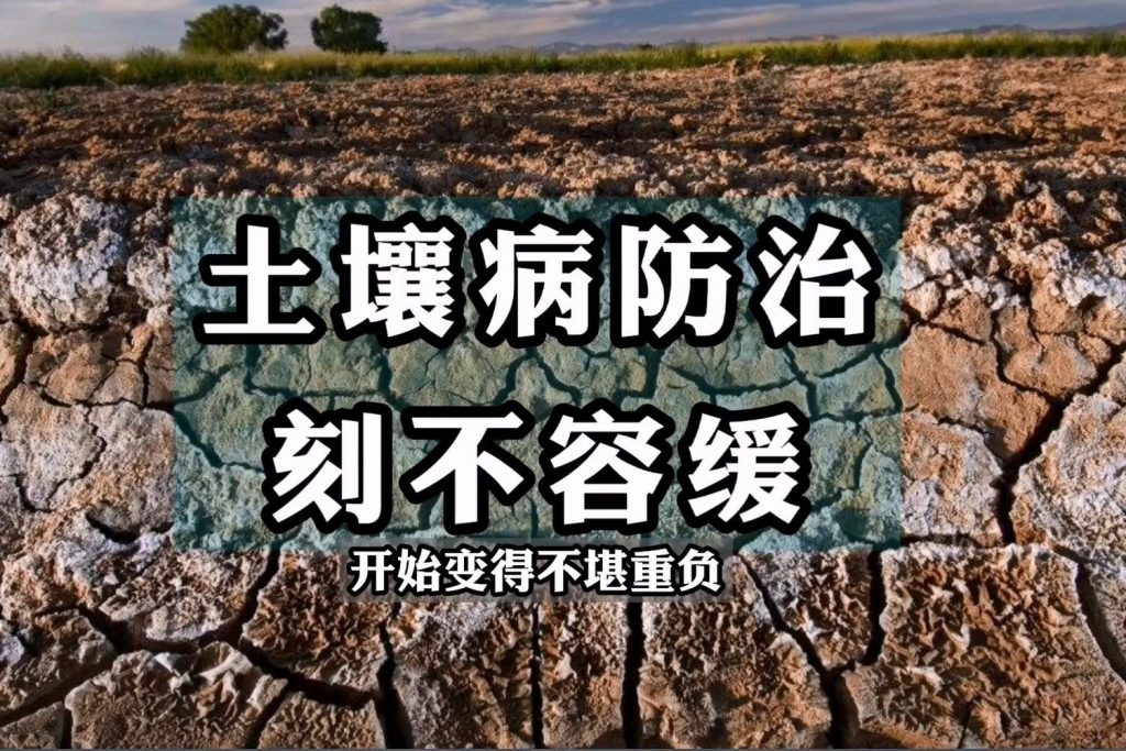 農(nóng)田常見的八種土壤病