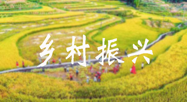 重慶鞏固拓展脫貧攻堅成果同鄉(xiāng)村振興有效銜接