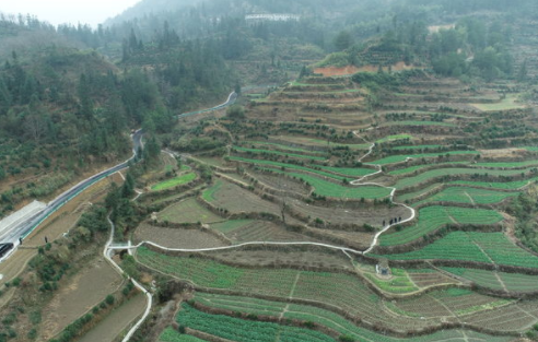 雄村鎮(zhèn)高標(biāo)準(zhǔn)農(nóng)田項(xiàng)目建設(shè)正如火如荼的展開(kāi)