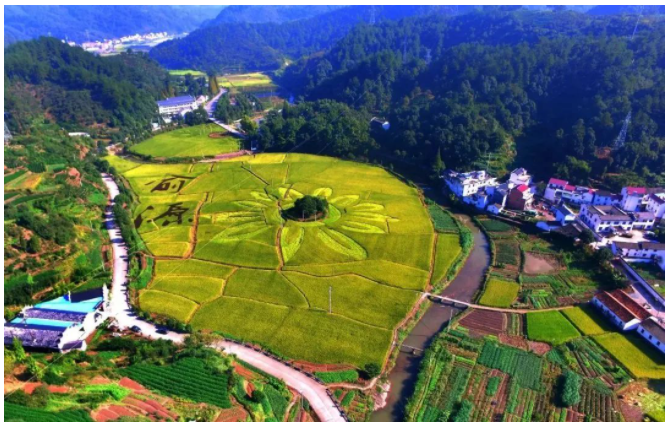 鄉(xiāng)村振興的出發(fā)點(diǎn)和落腳點(diǎn)