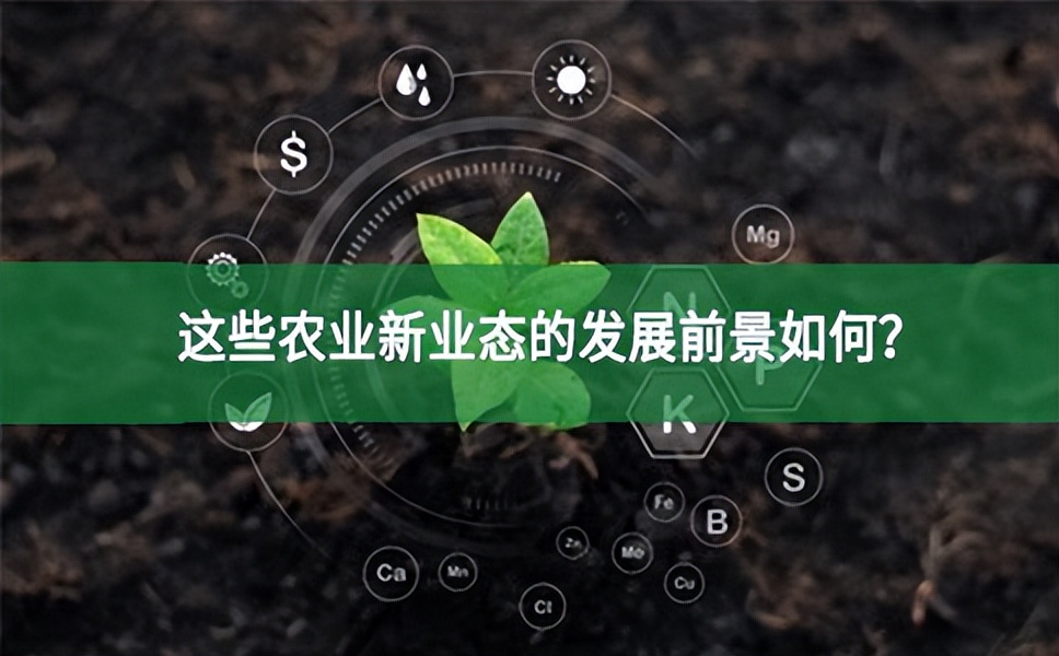 現代農業