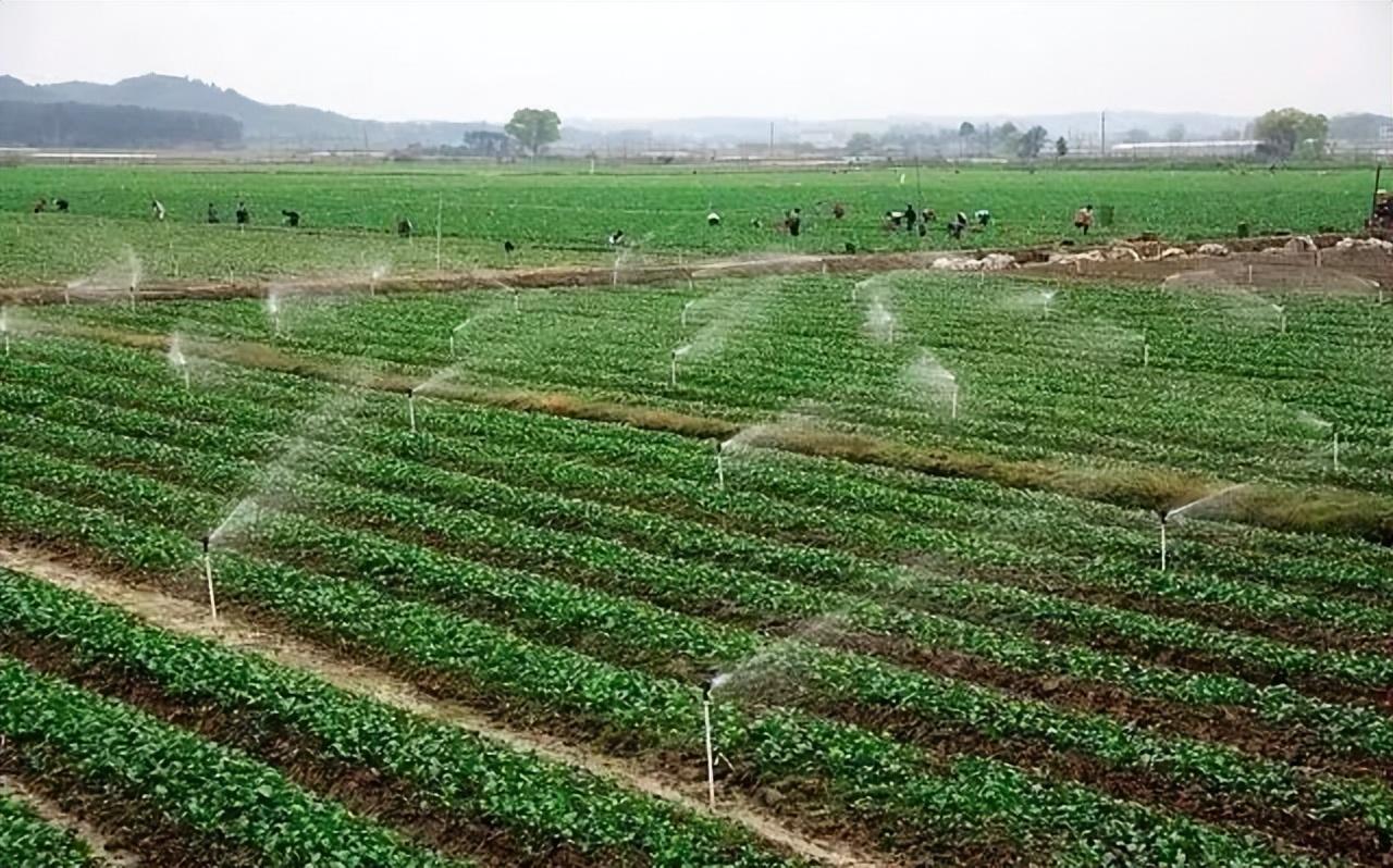 農(nóng)業(yè)機(jī)械化