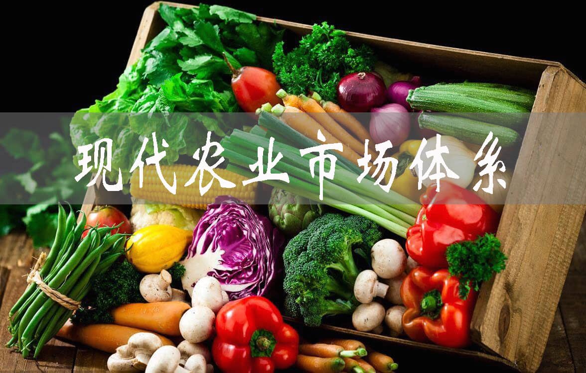 廣東探索建立現(xiàn)代農(nóng)業(yè)市場體系，發(fā)揮聯(lián)農(nóng)帶農(nóng)作用