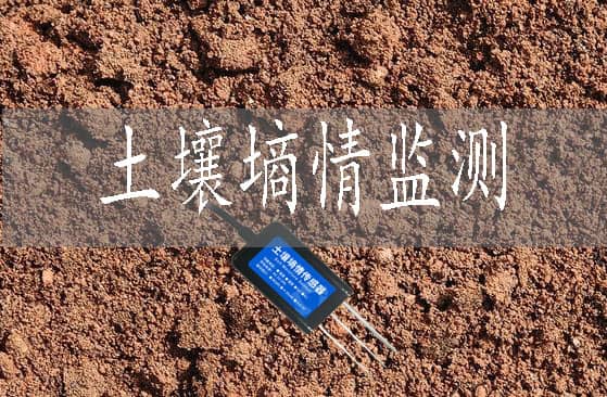 土壤墑情監(jiān)測的重大意義