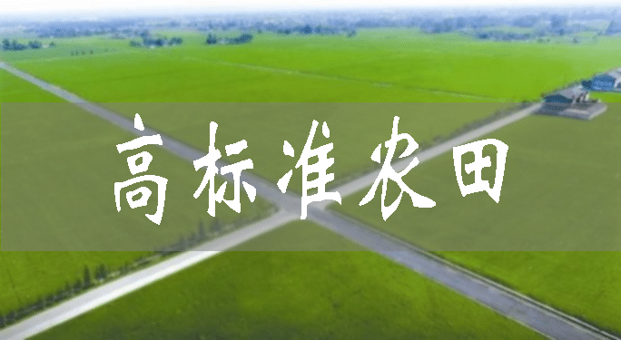 重慶銅梁：建設(shè)高標(biāo)準(zhǔn)農(nóng)田　夯實(shí)糧安根基