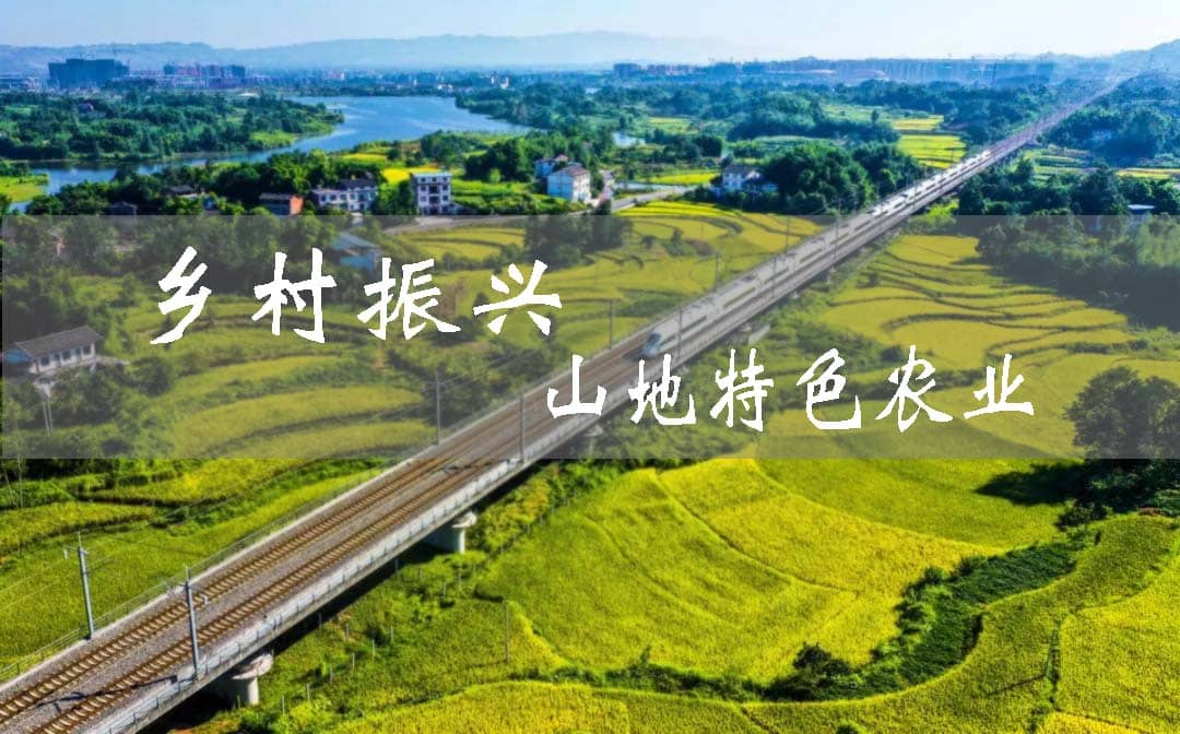 發(fā)展山地特色效益農(nóng)業(yè) 國家級(jí)田園綜合體助力忠縣鄉(xiāng)村振興