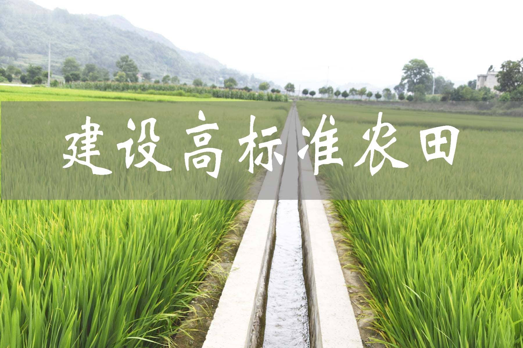靖州建設(shè)高標(biāo)準(zhǔn)農(nóng)田1.89萬(wàn)畝 促進(jìn)農(nóng)業(yè)高質(zhì)量發(fā)展