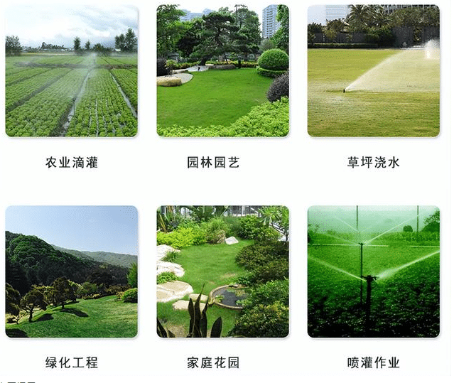 應用特點