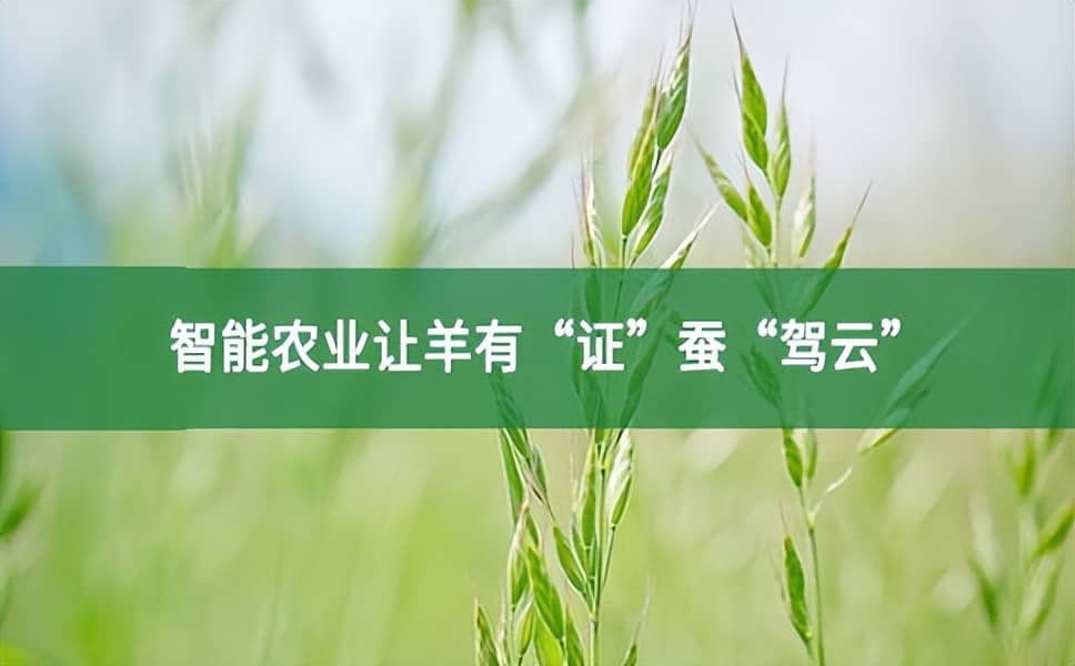 智能農(nóng)業(yè)讓羊有“證”蠶“駕云”