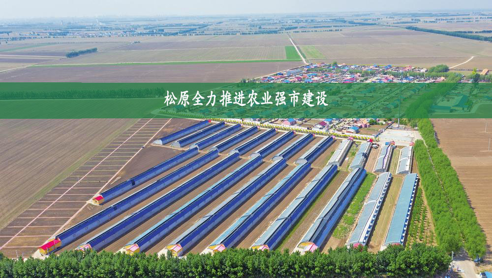 松原全力推進(jìn)農(nóng)業(yè)強(qiáng)市建設(shè)