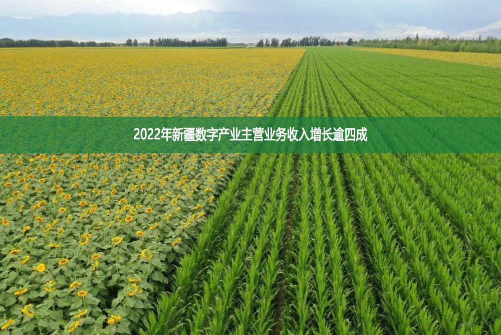 2022年新疆數(shù)字產(chǎn)業(yè)主營業(yè)務(wù)收入增長逾四成