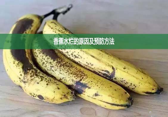 香蕉水爛的原因及預(yù)防方法