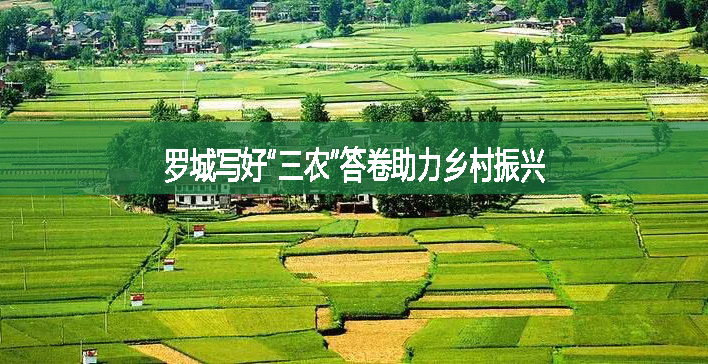 羅城寫好“三農(nóng)”答卷助力鄉(xiāng)村振興