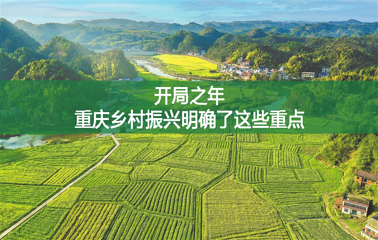 開局之年，重慶鄉(xiāng)村振興明確了這些重點(diǎn)